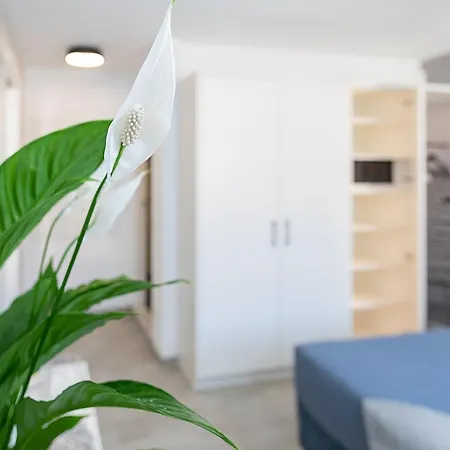 Baur - Regarda Travel * Bardolino