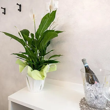 Baur - Regarda Travel