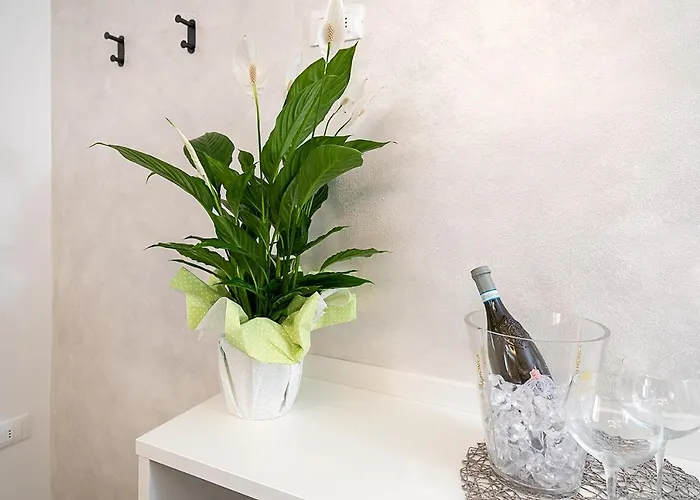 Baur - Regarda Travel